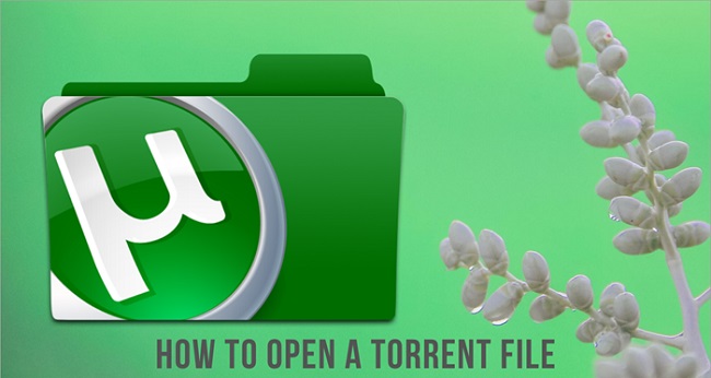 How To Open Torrent File