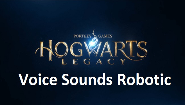 Hogwarts Legacy Voice Sounds Robotic